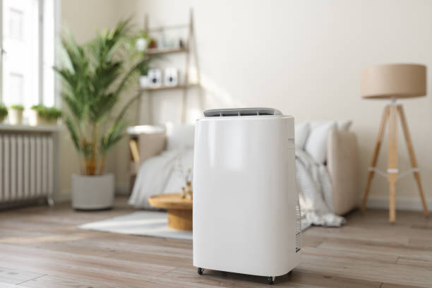 Best Furnace Cleaning in Clear Lake, IA